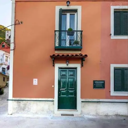 Apartment Contessa Stamy *